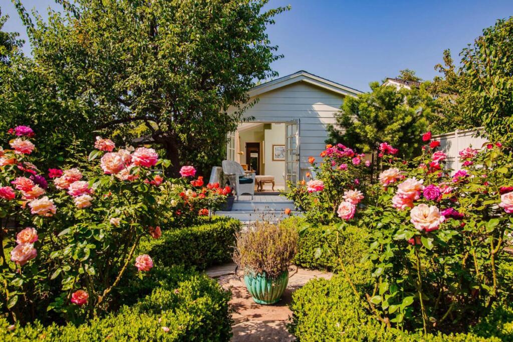 441 Walnut Place - AJ Olson Whitfield - 17
